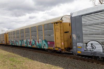 CNA 712465