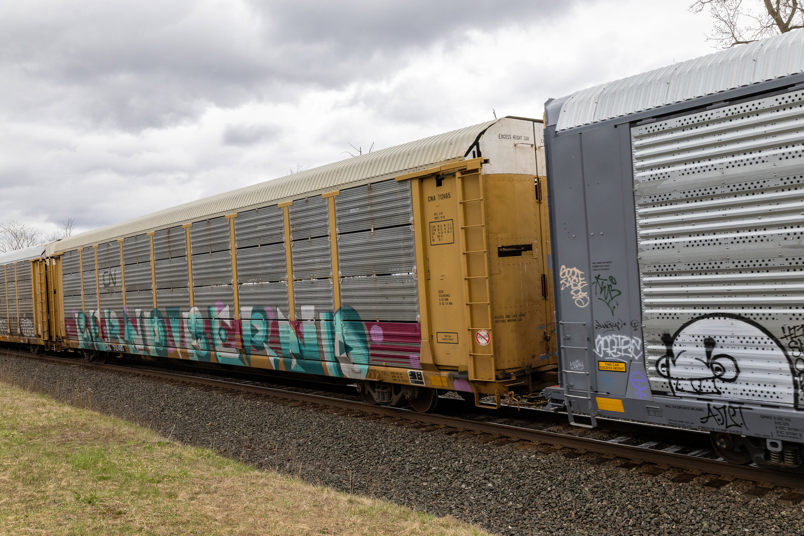 CNA 712465