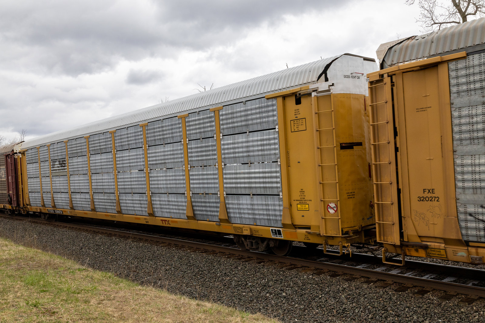 TTGX 158478