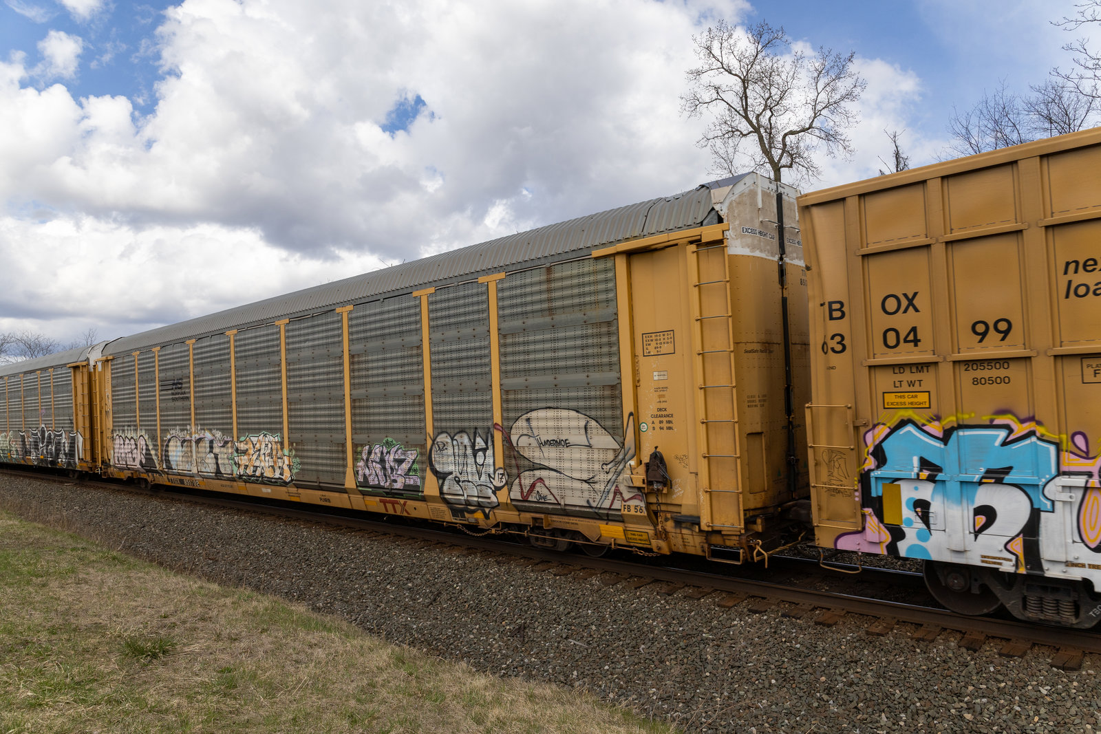 TTGX 851702