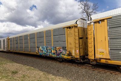 CNA 712493