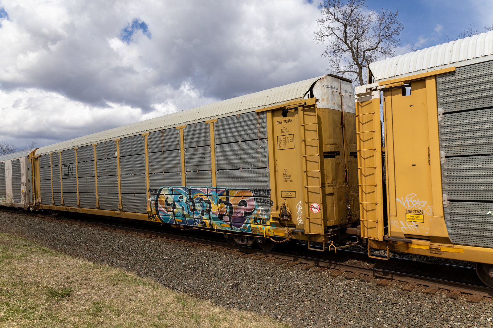 CNA 712493