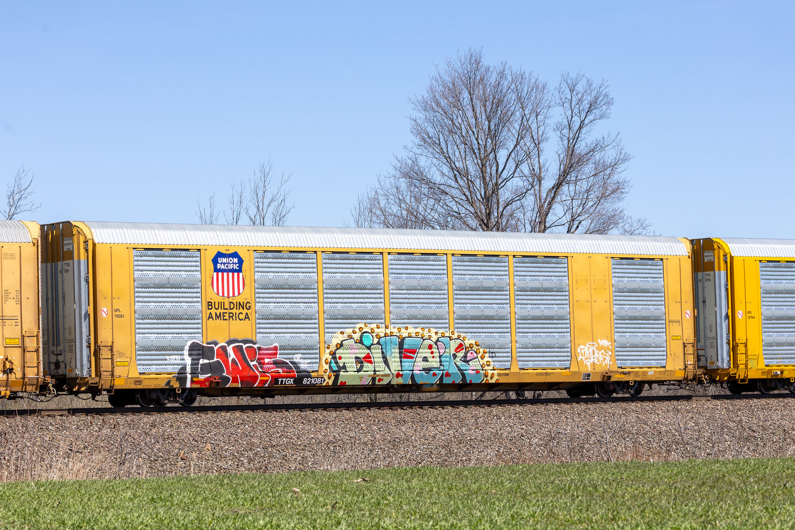 TTGX 821081