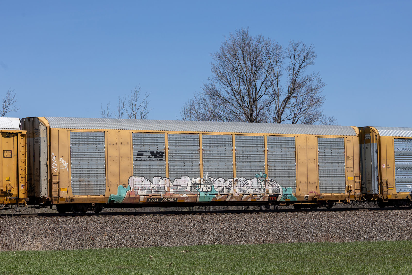 TTGX 691562