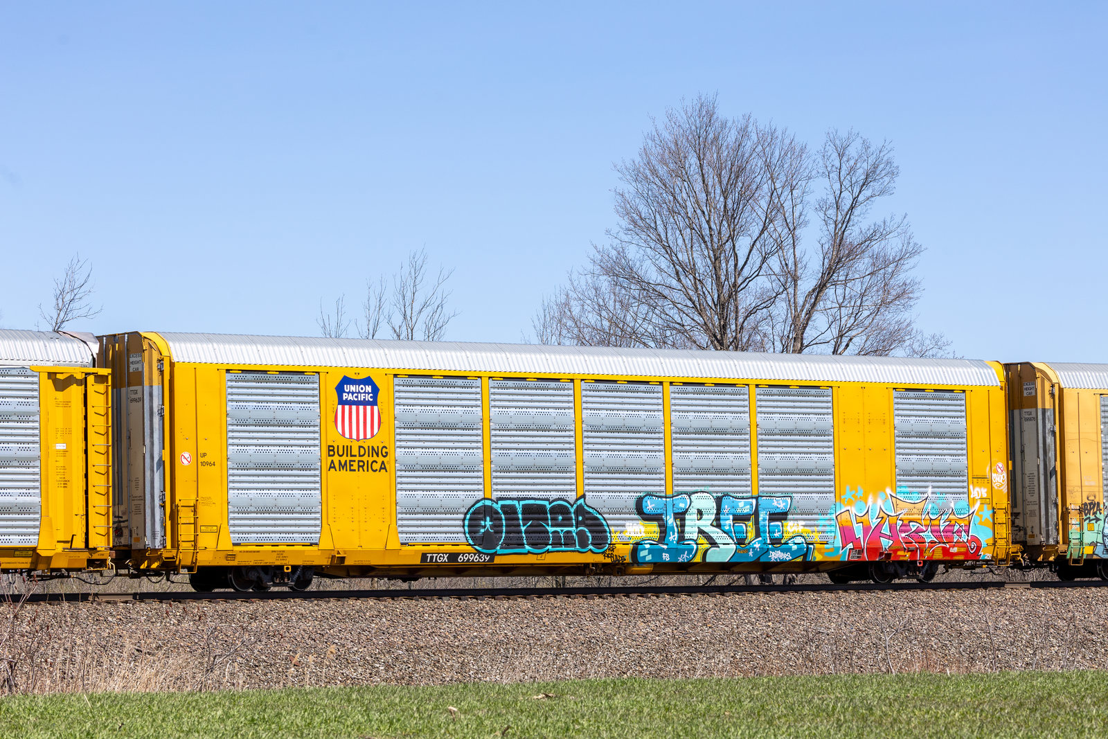 TTGX 699639