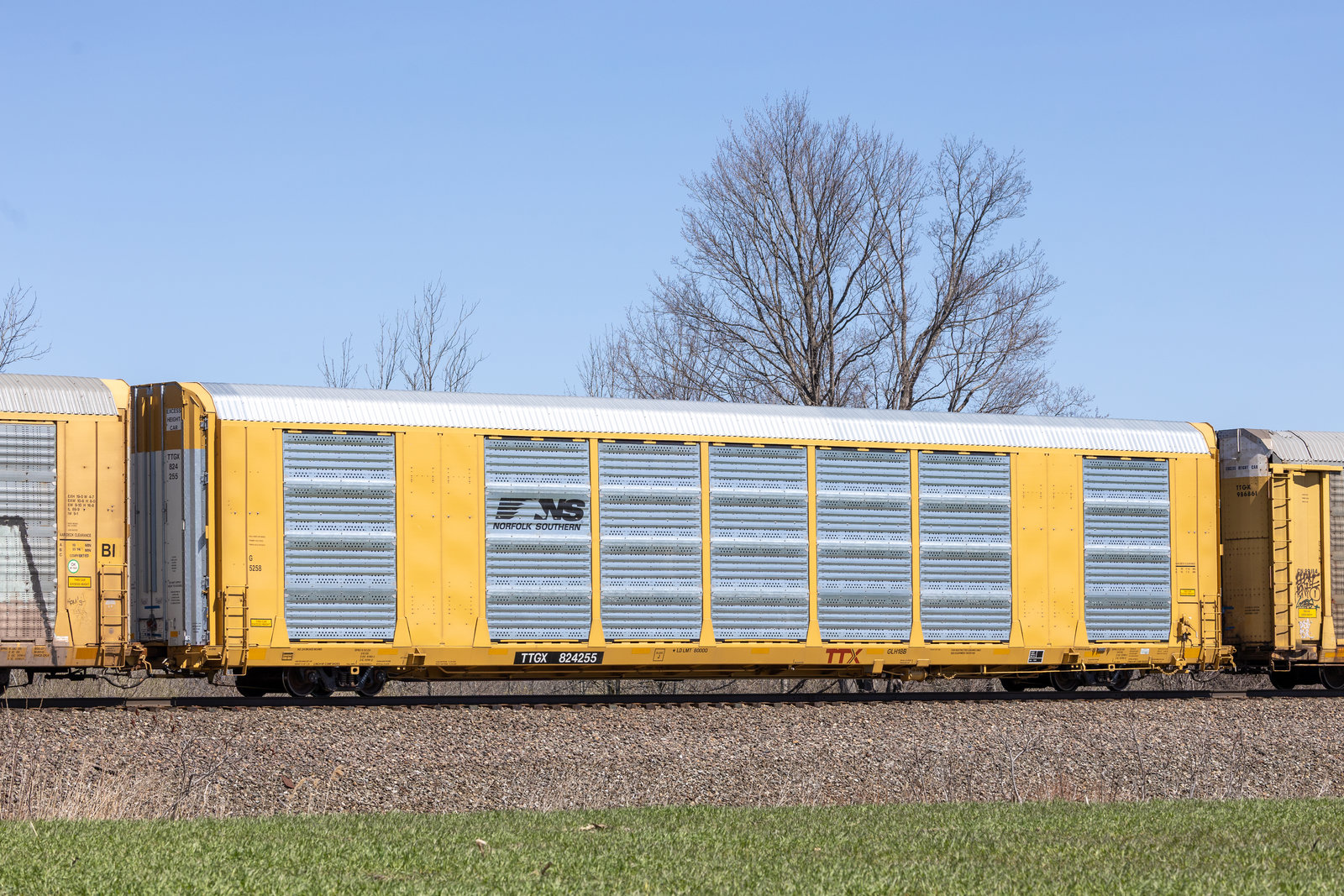 TTGX 824255