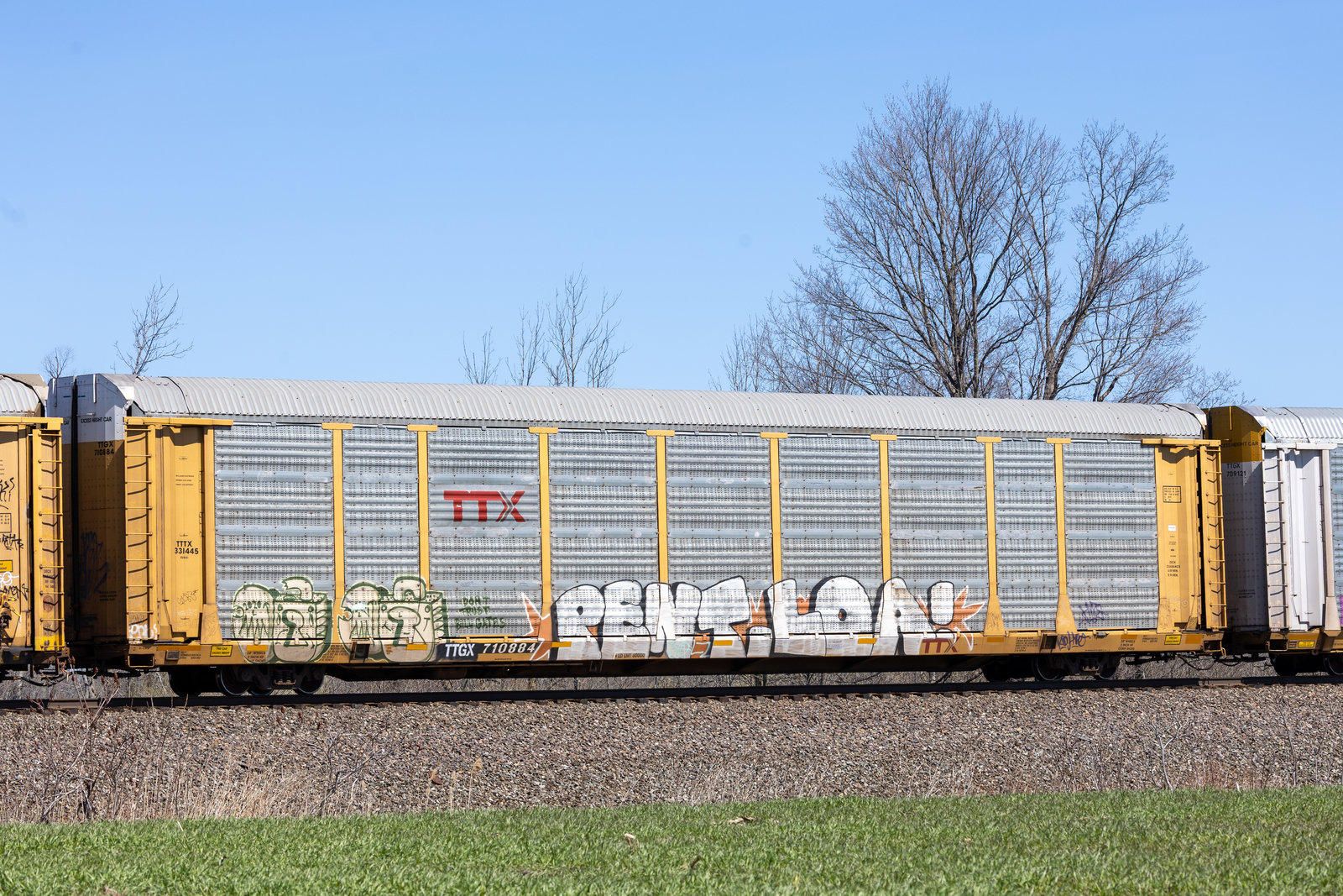 TTGX 710884
