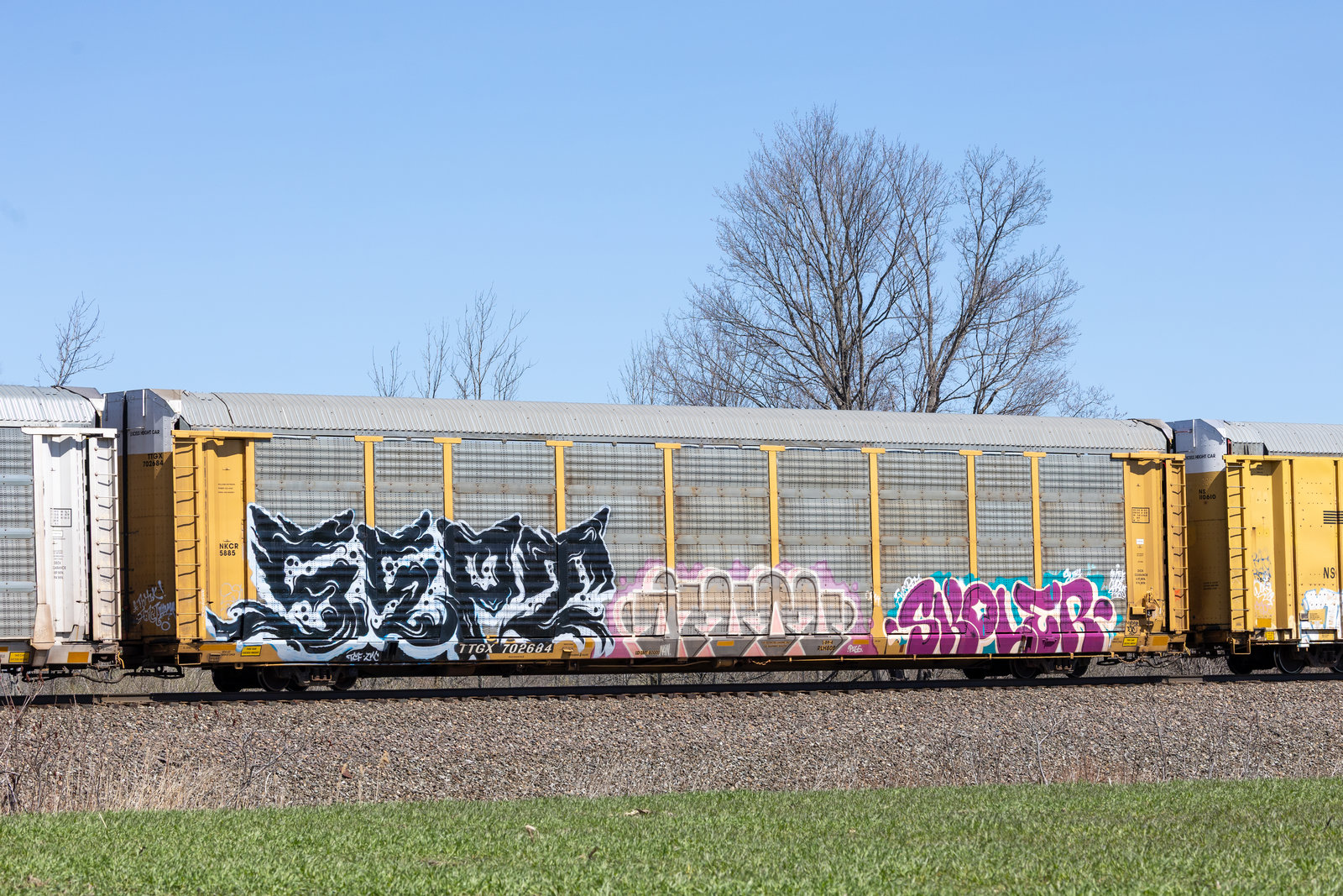 TTGX 702684