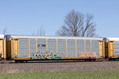 TTGX 707163