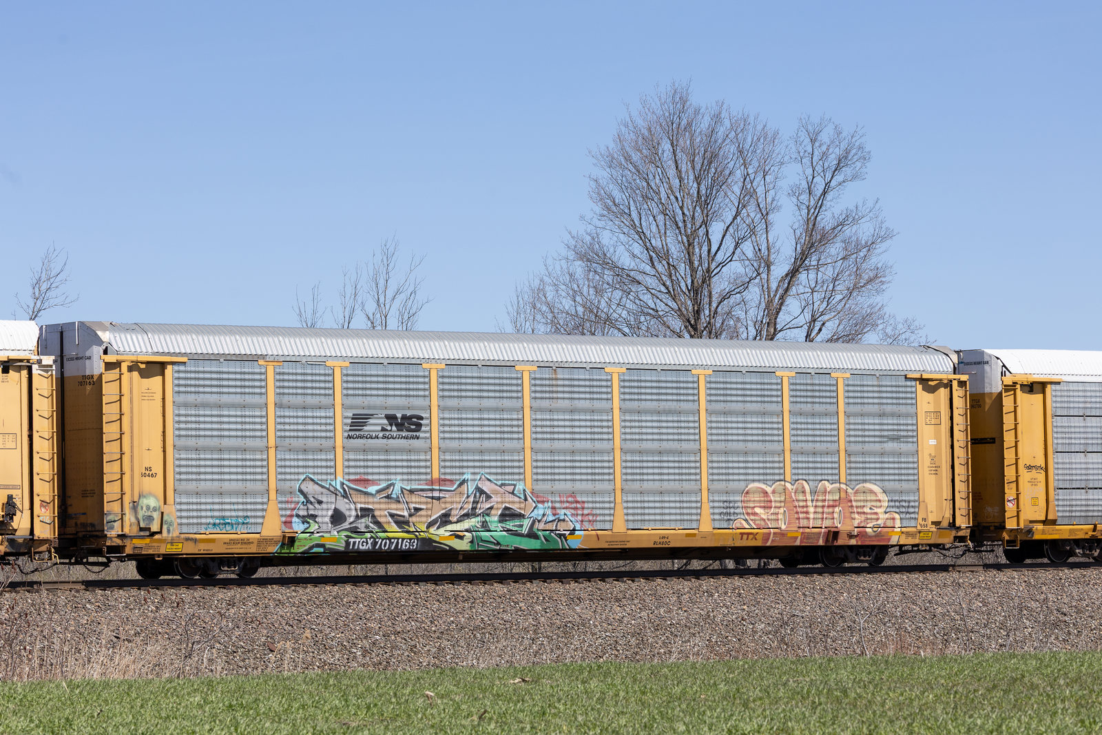TTGX 707163