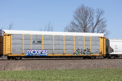 TTGX 159651