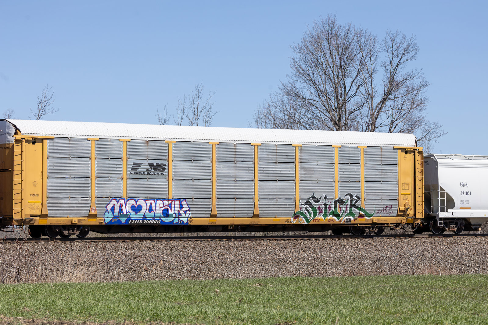 TTGX 159651