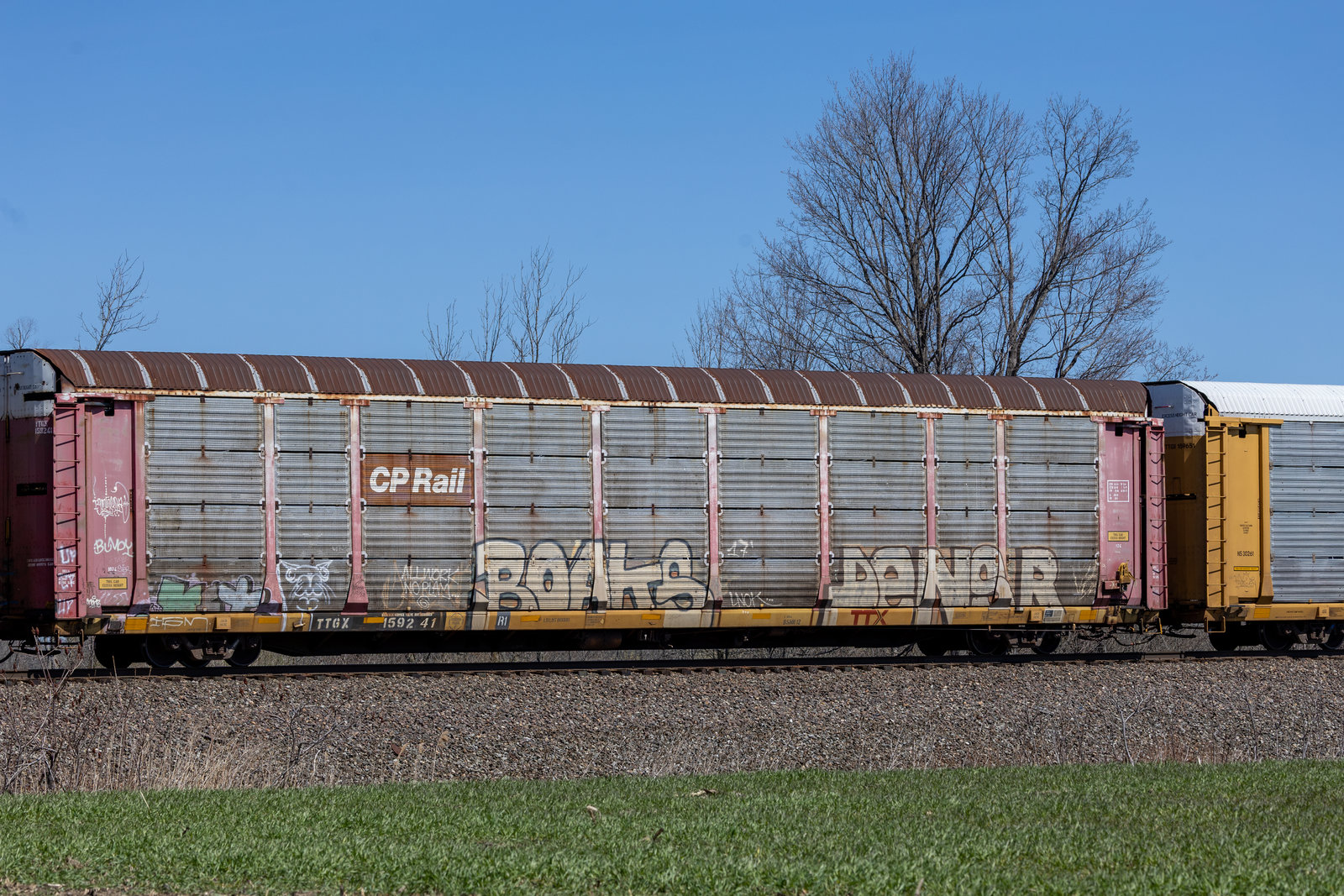 TTGX 159241