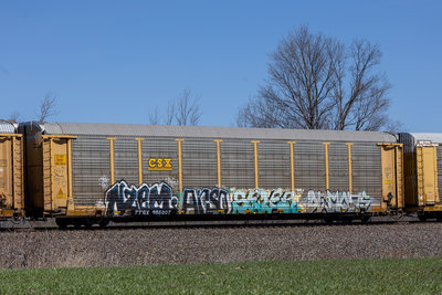 TTGX 985007