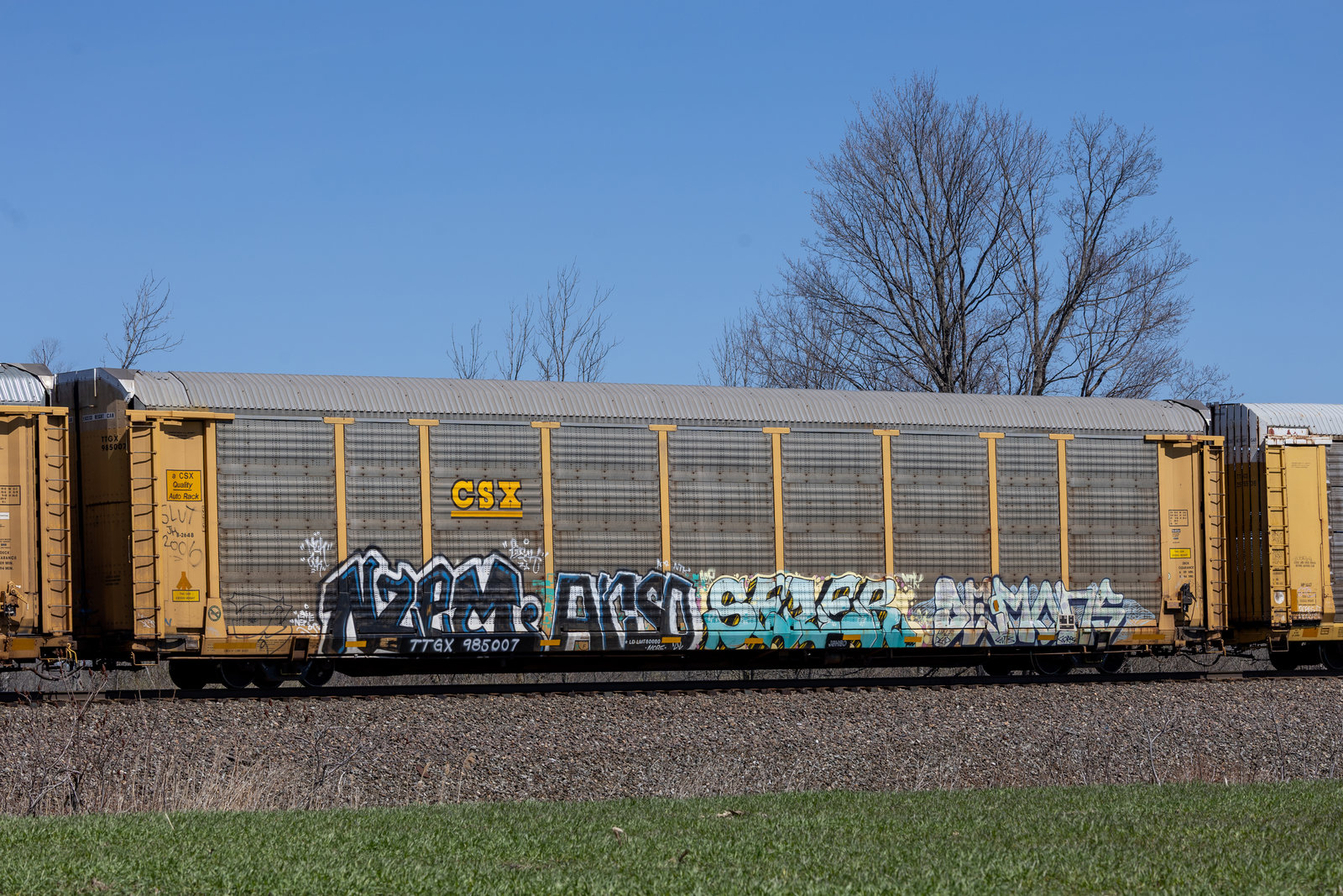 TTGX 985007