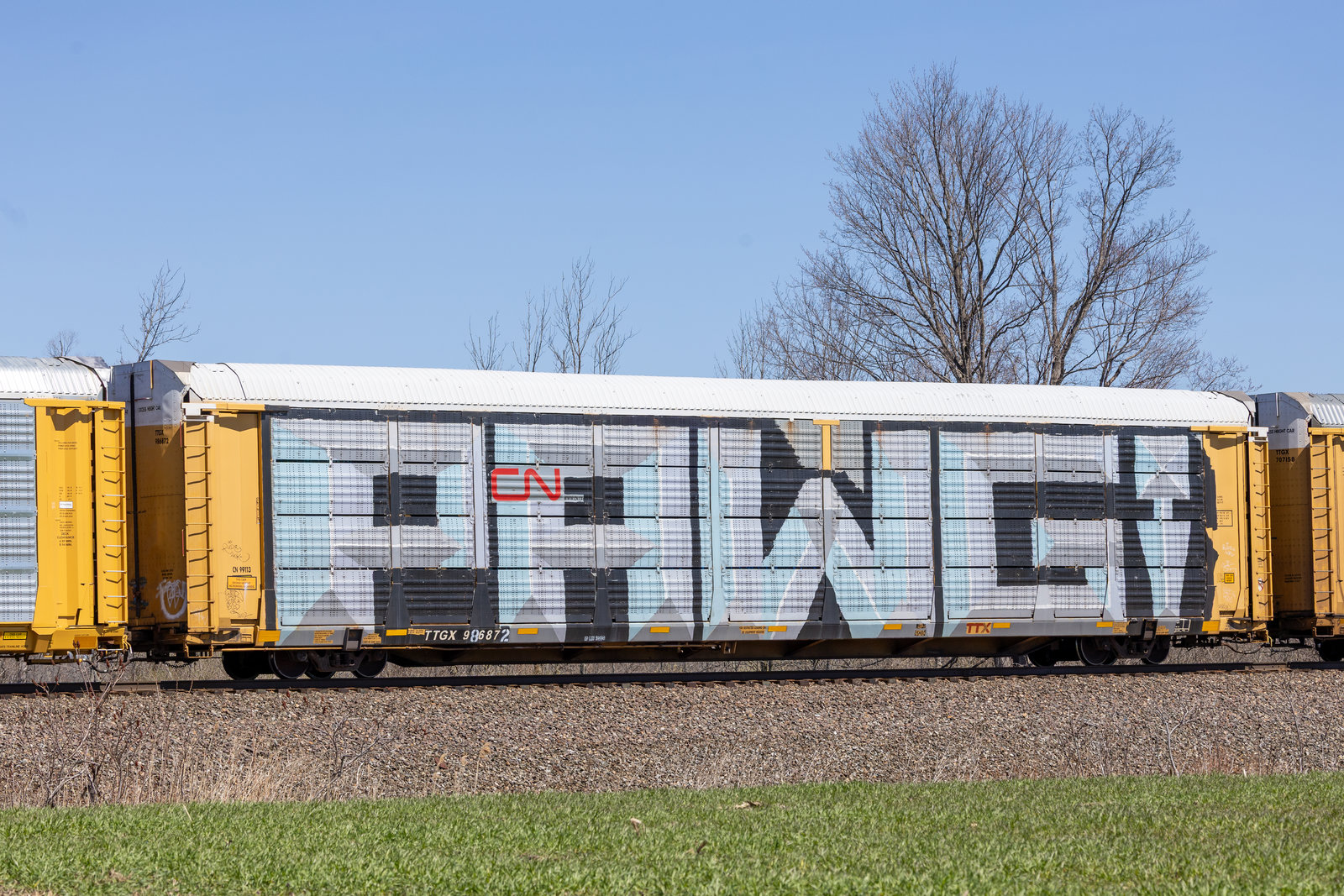 TTGX 986872