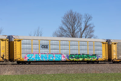 TTGX 987667