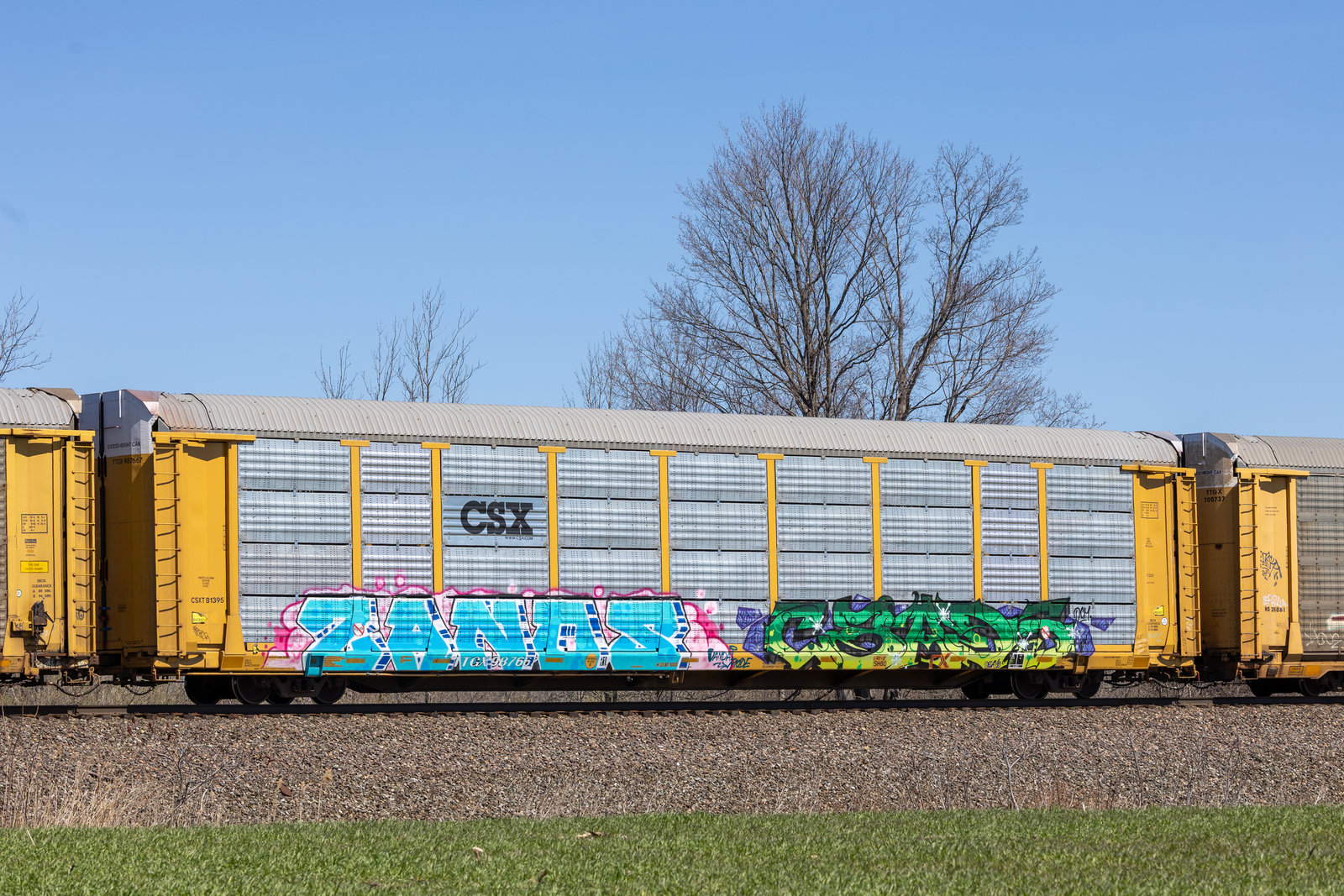 TTGX 987667