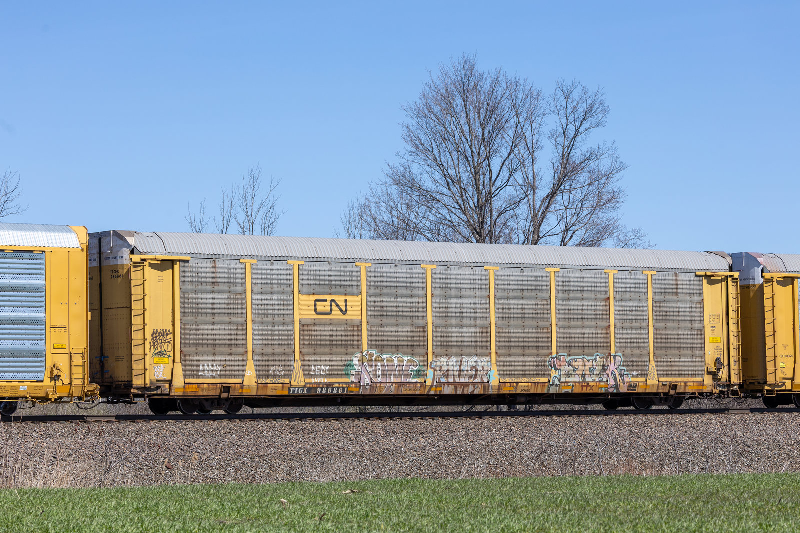 TTGX 986861