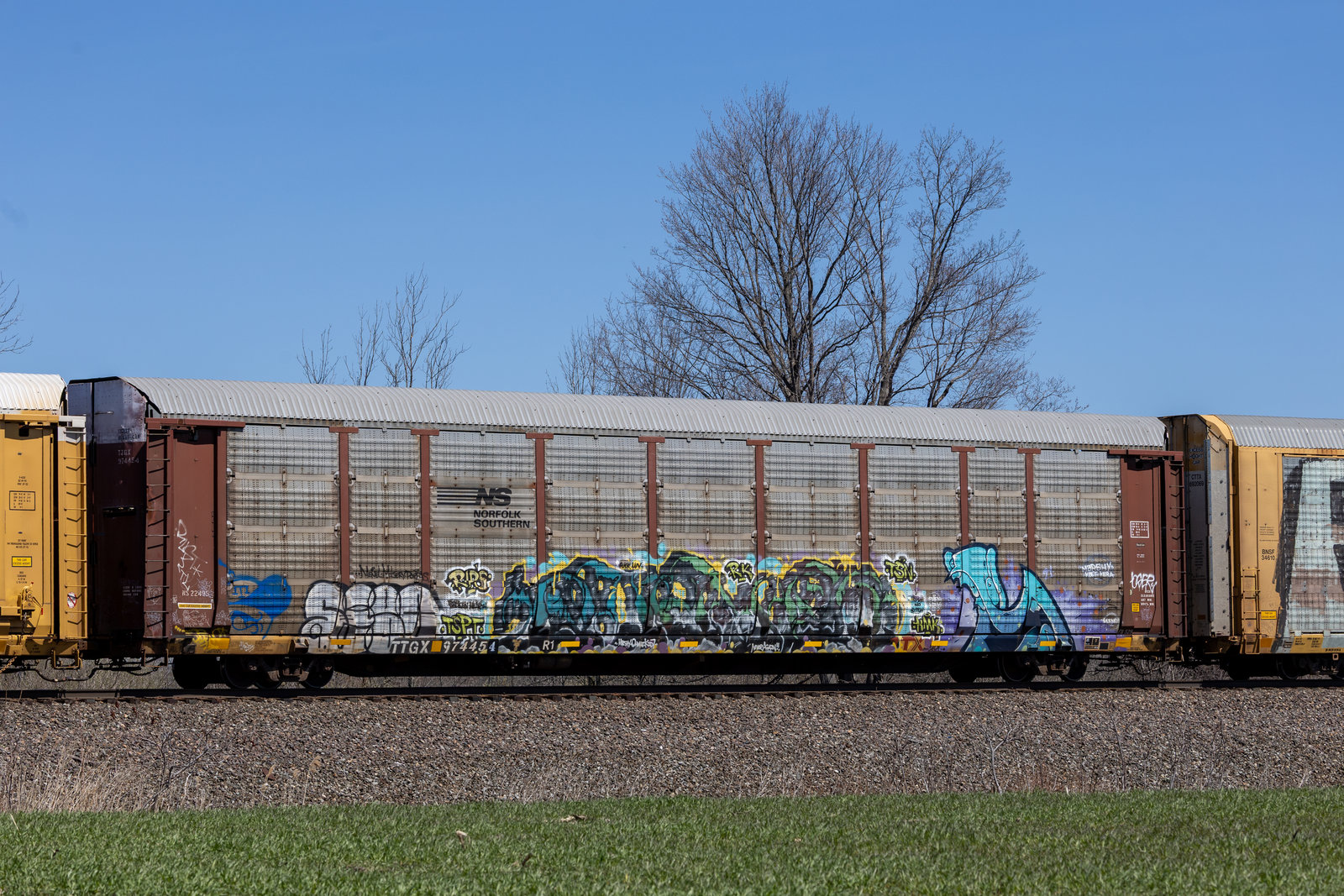 TTGX 974454
