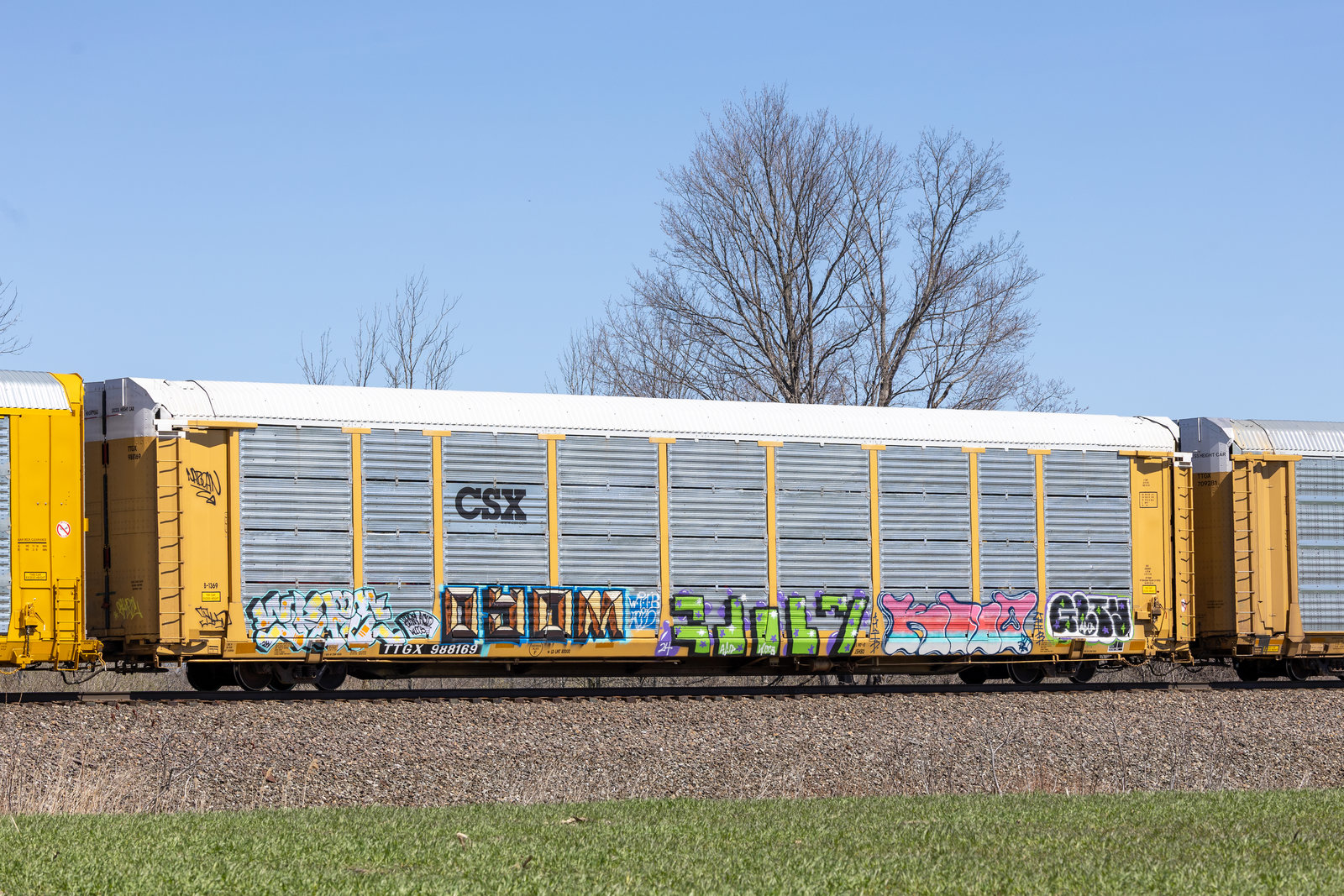 TTGX 988169