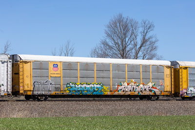 TTGX 965684