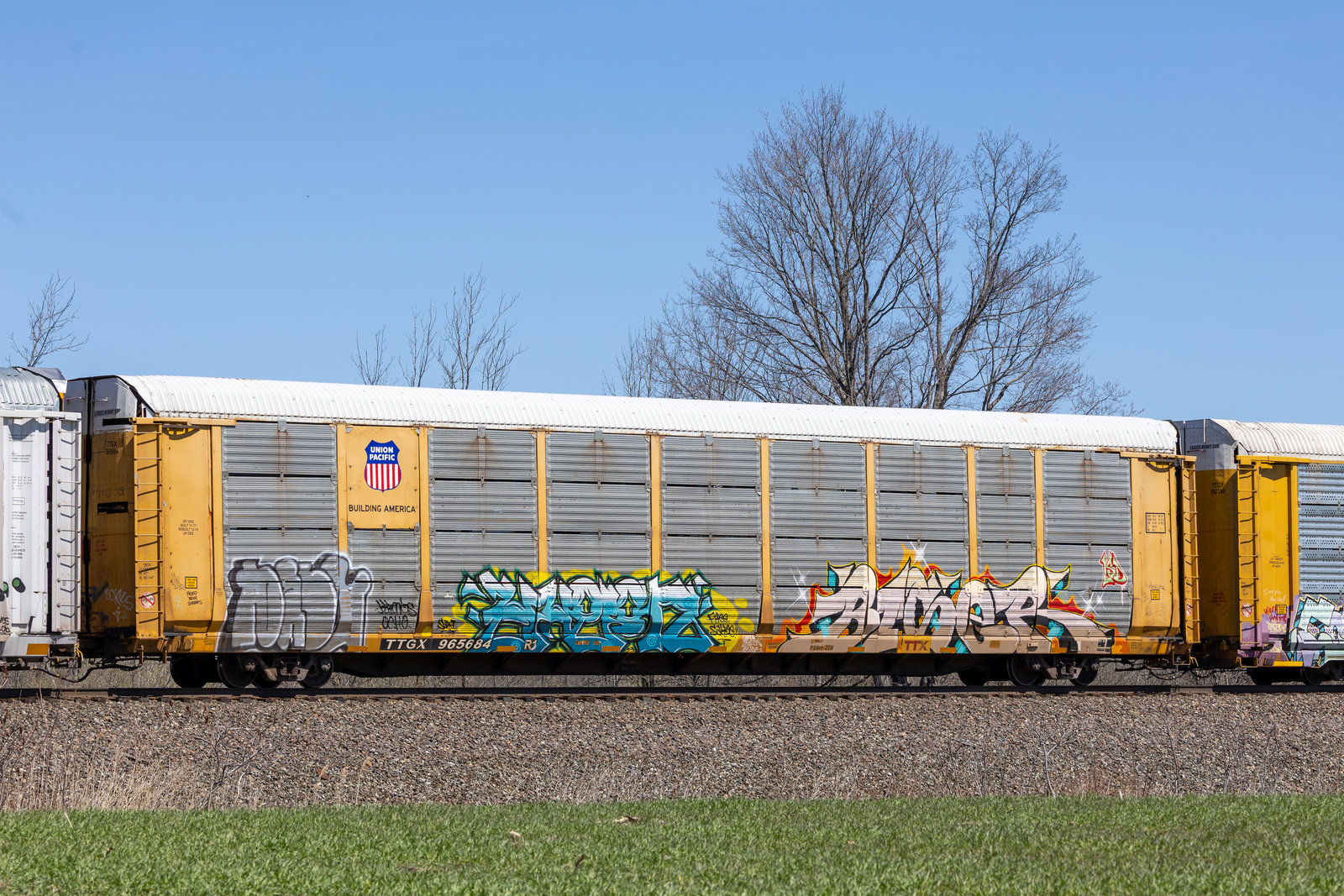 TTGX 965684