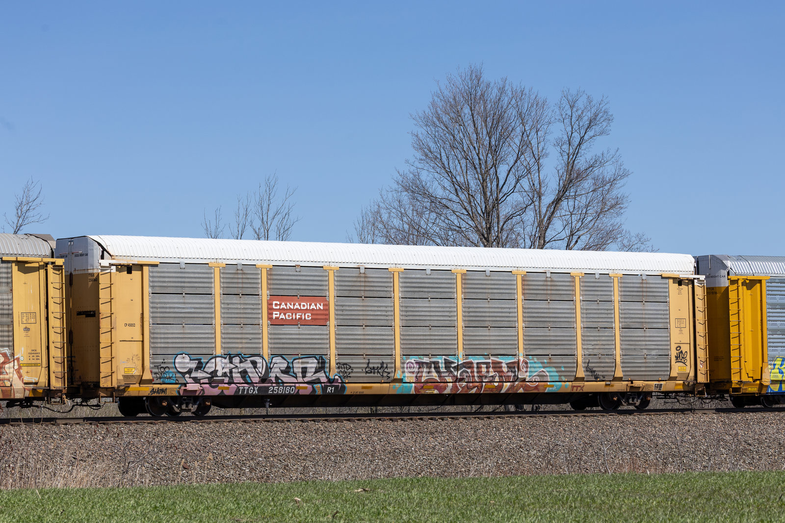 TTGX 256160