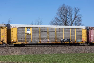 TTGX 255535
