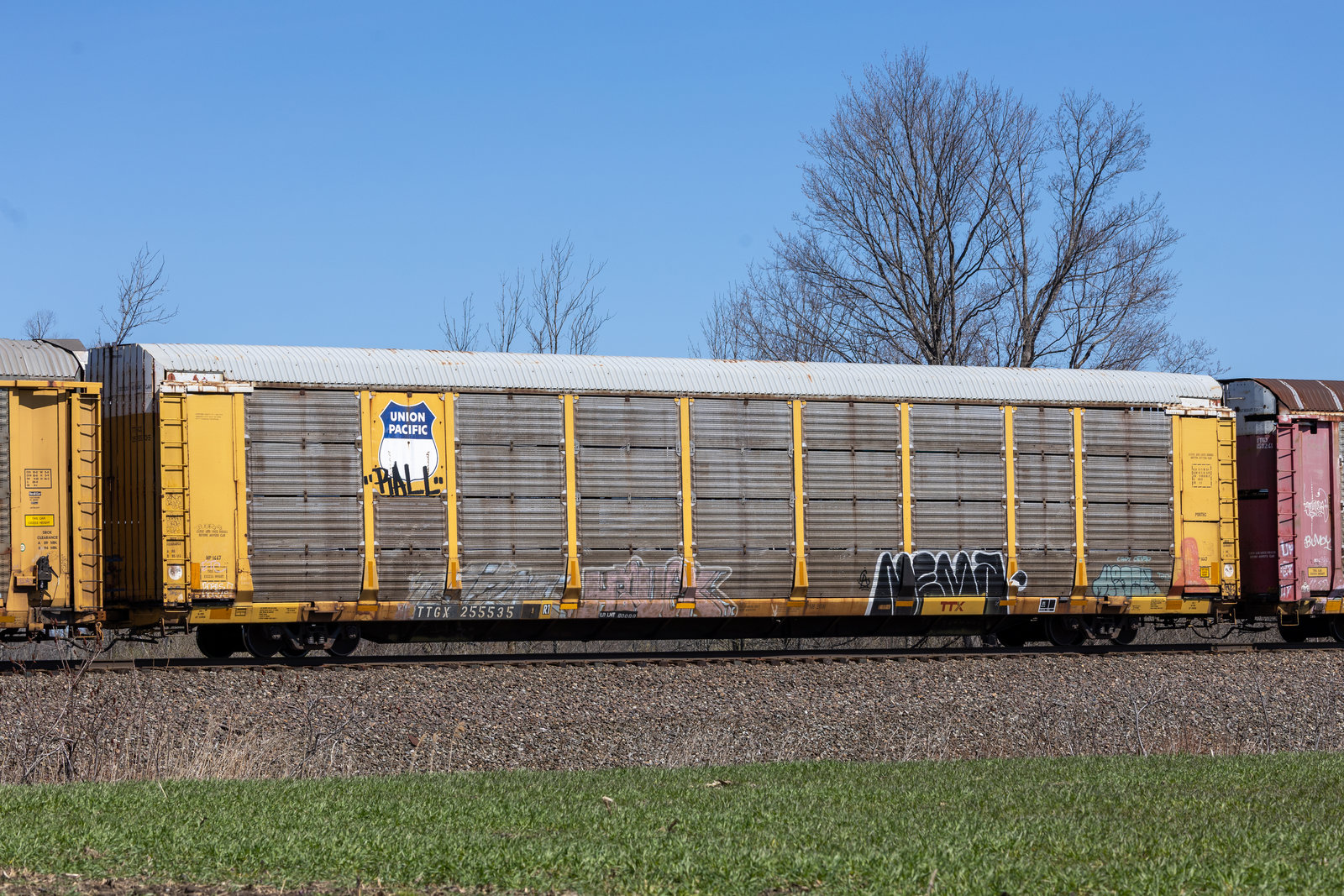 TTGX 255535