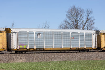 TTGX 709121
