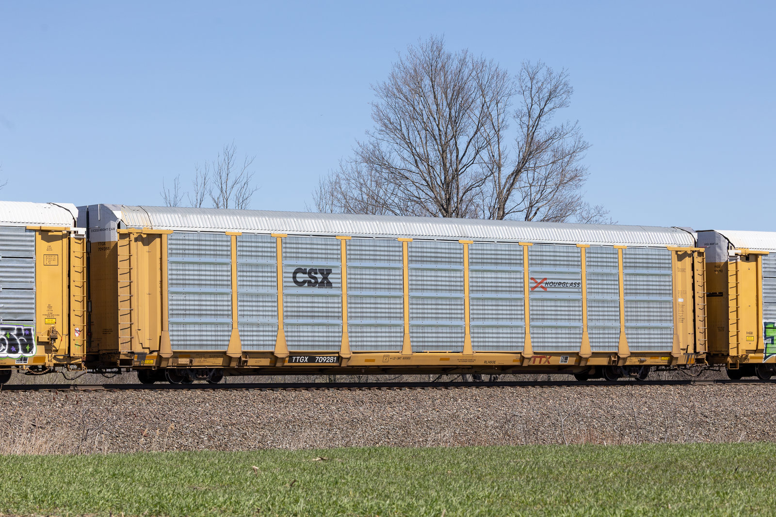 TTGX 709281