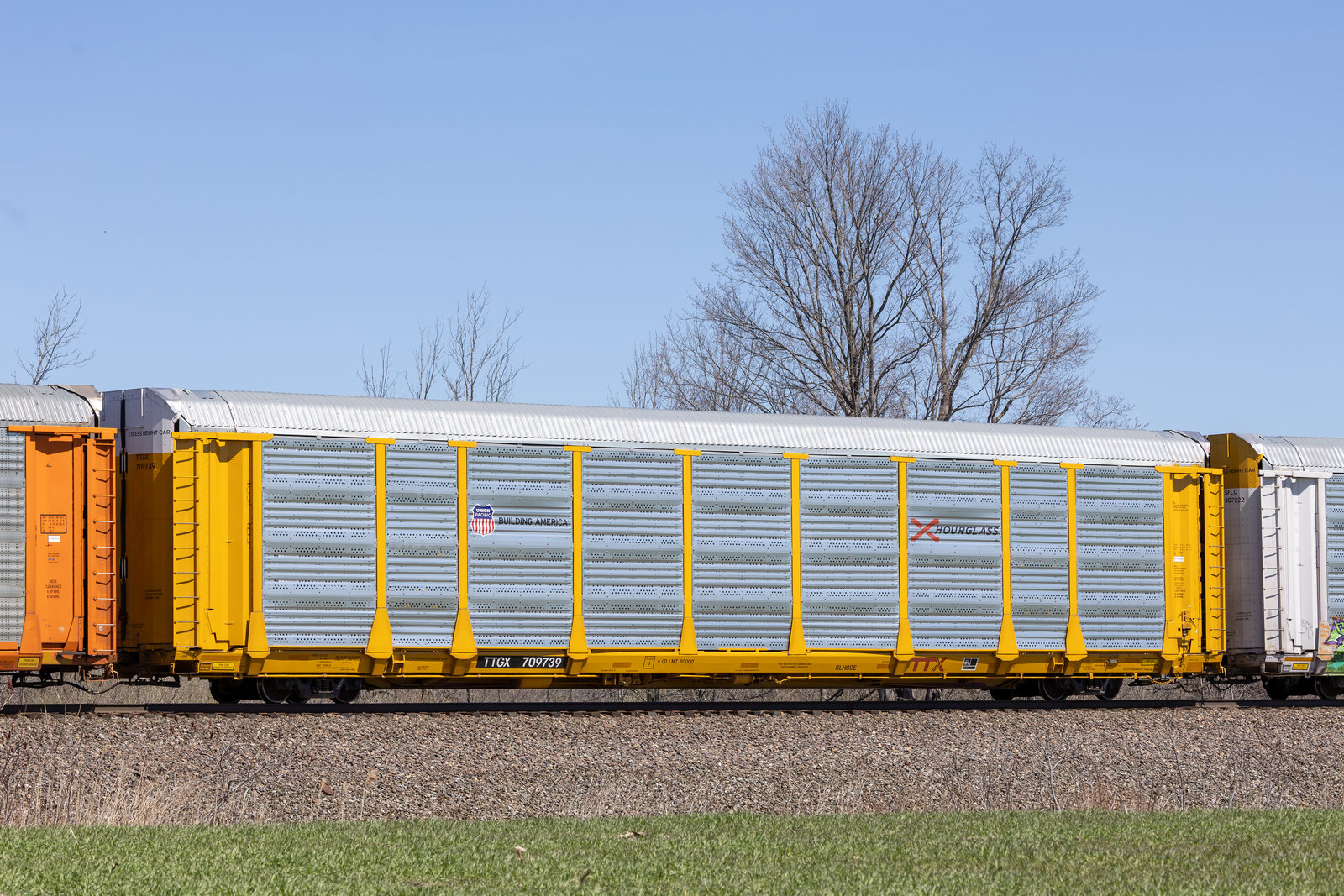 TTGX 709739