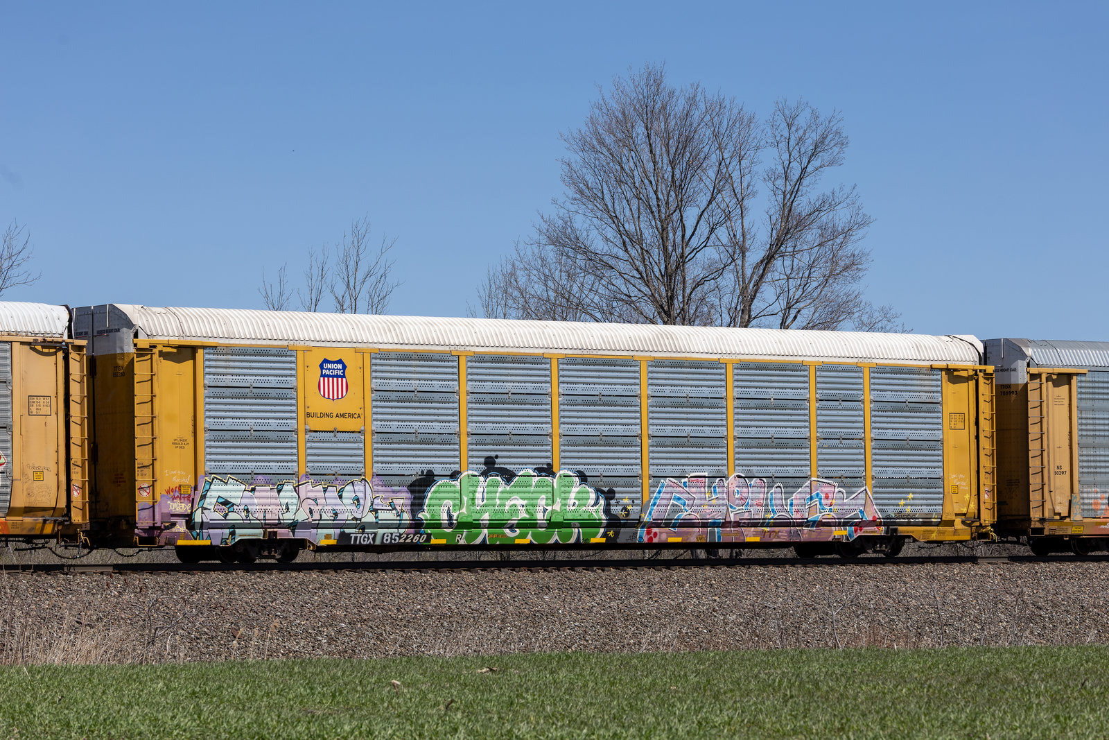 TTGX 852260