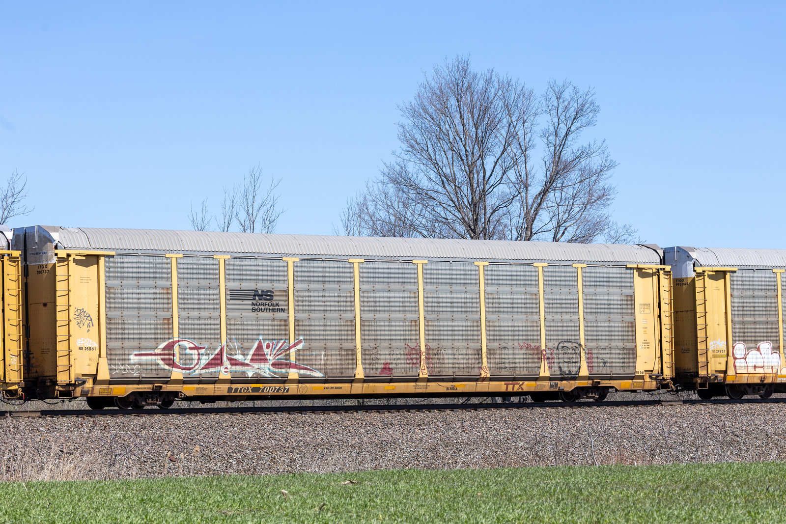 TTGX 700737