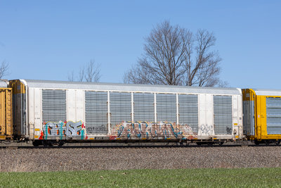 UCRY 1005