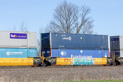 DTTX 795387C