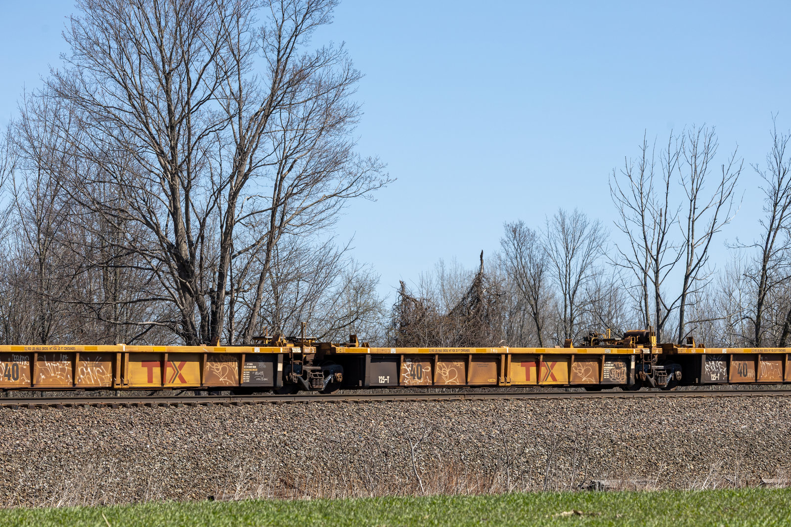 DTTX 741296D
