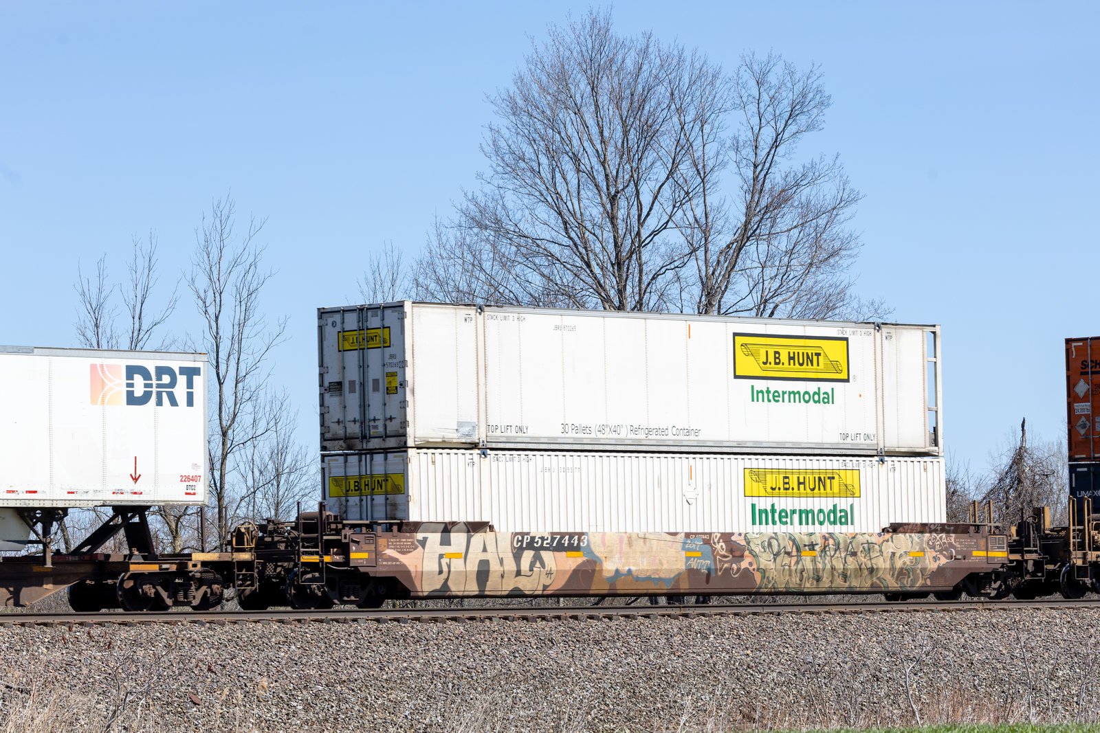 CP 527443