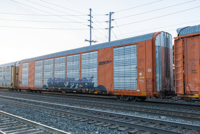 TTGX 694696