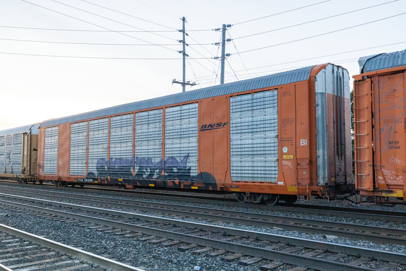 TTGX 694696