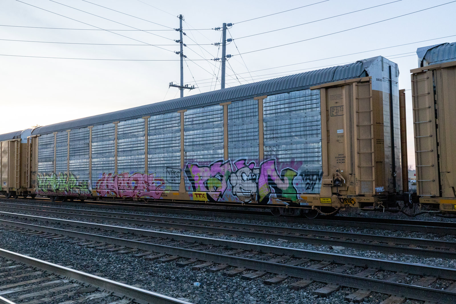 TTGX 702129