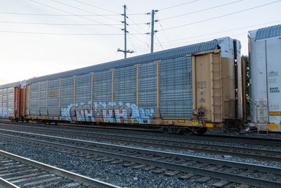 TTGX 158556
