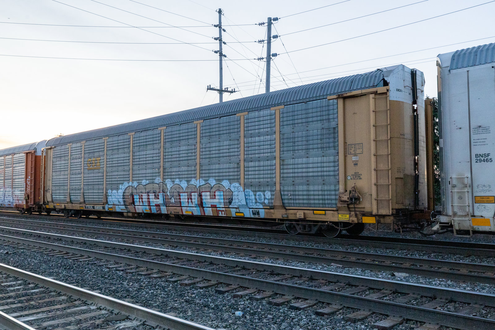 TTGX 158556