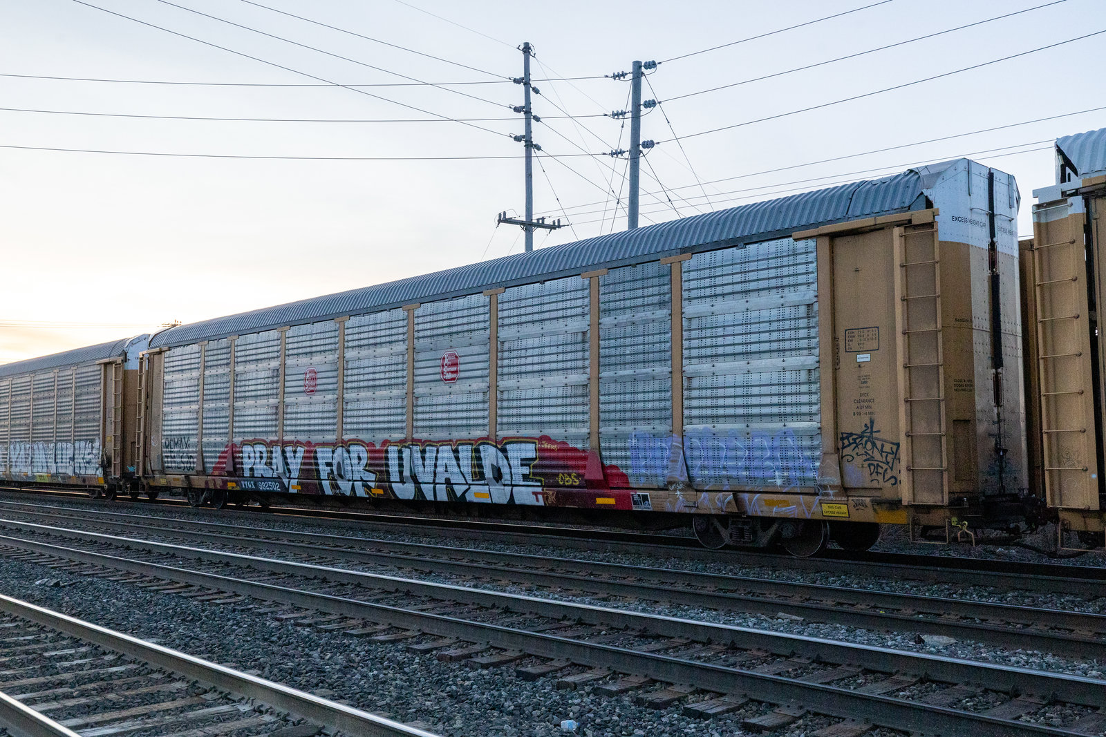 TTGX 982502