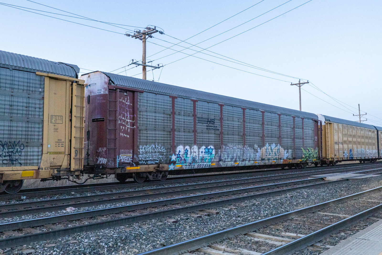 TTGX 992338