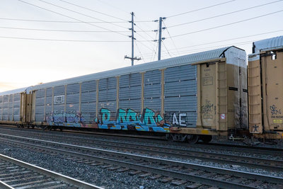 TTGX 990591
