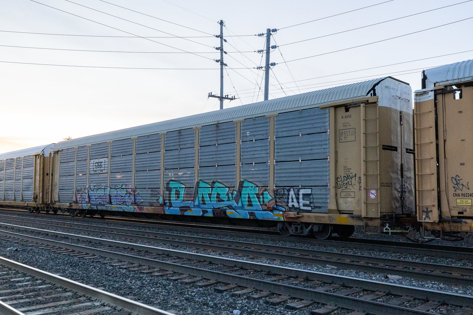 TTGX 990591