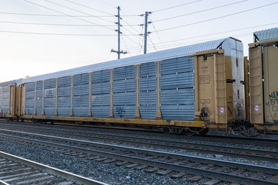 TTGX 965566