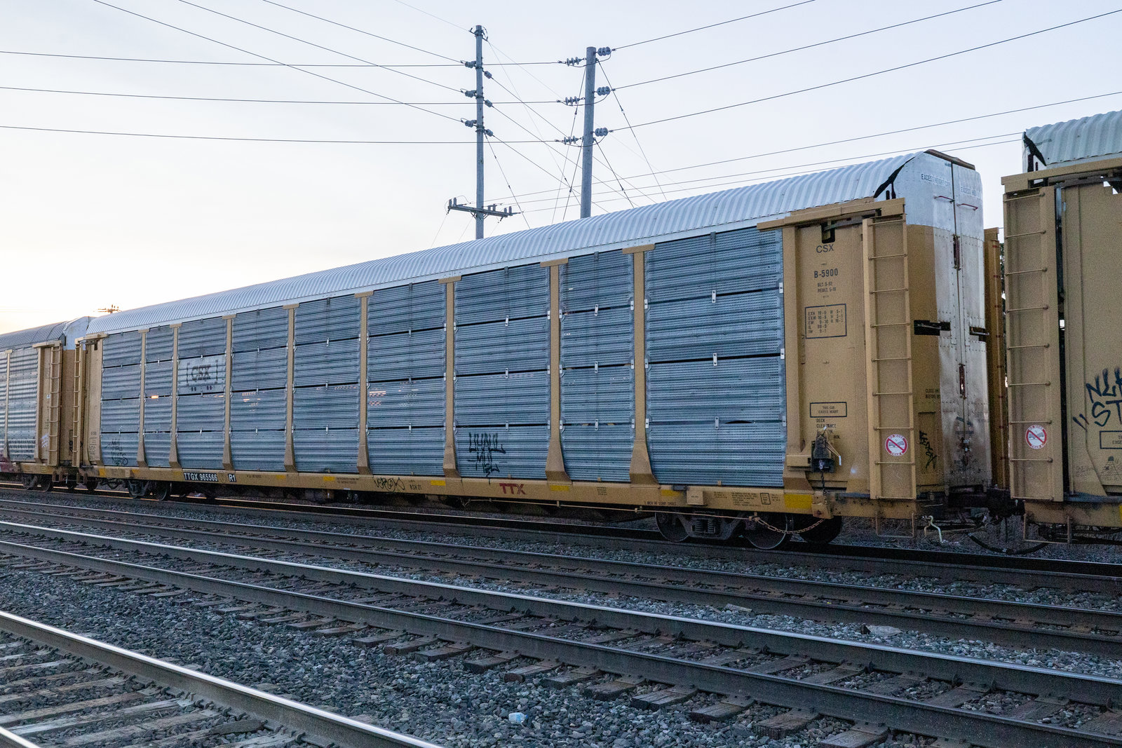 TTGX 965566